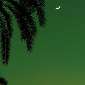 免费看美女裸体🔞🔞🔞中国
