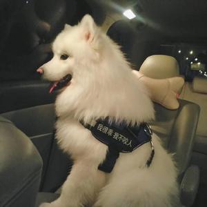 免费看美女裸体🔞🔞🔞中国
