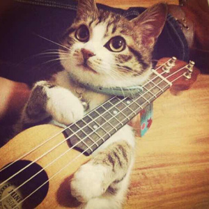 免费看美女裸体🔞🔞🔞中国
